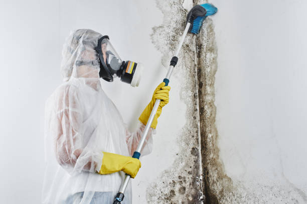 Best Mold Testing  in Canterwood, WA