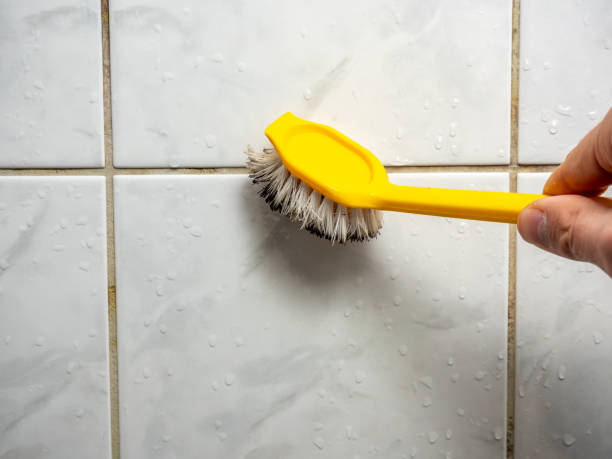 Best Commercial Mold Removal  in Canterwood, WA
