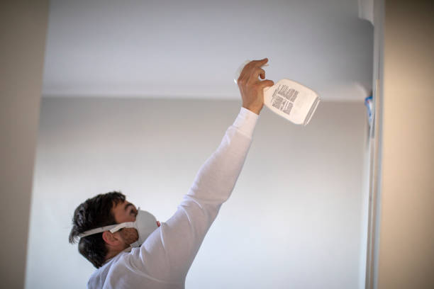 Mold Removal and Inspection in Canterwood, WA