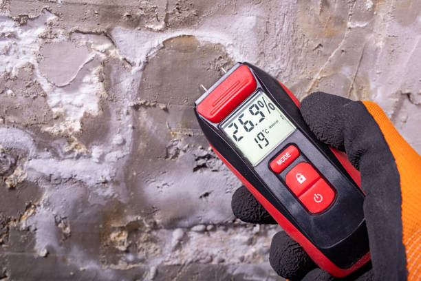 Best Water Damage Restoration  in Canterwood, WA
