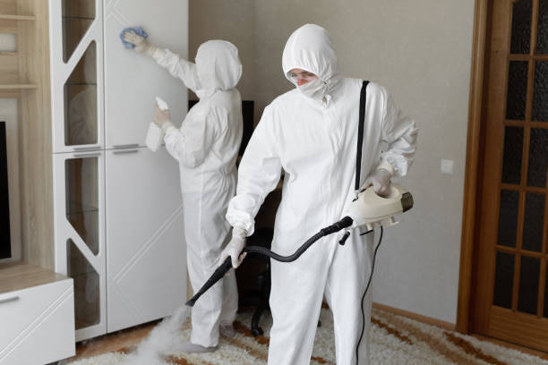 Best Mold Removal Process  in Canterwood, WA