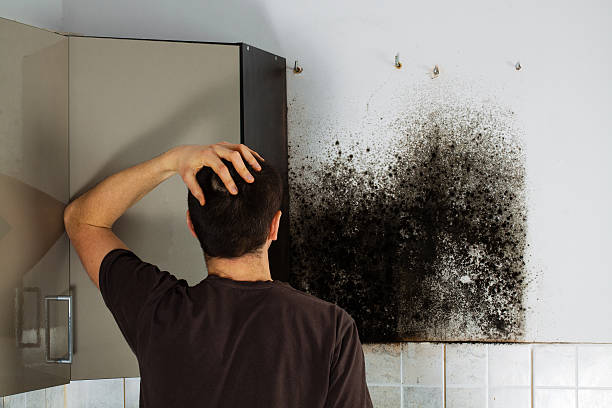 Water Damage Restoration in Canterwood, WA